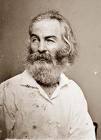 walt-whitman