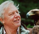 David Attenborough