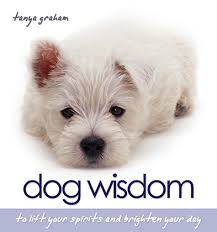 dog-wisdom