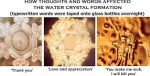 Dr Emoto water crystals