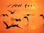 Free