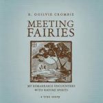 Meeting Fairies