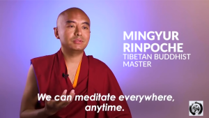 Mingyur Rinpoche