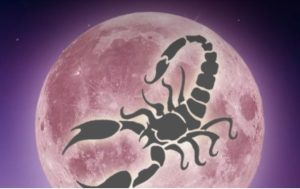 PInk Moon in Scorpio