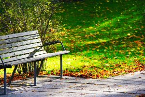 Park Bench