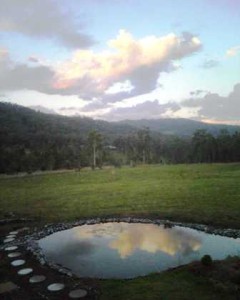 Pond Reflection