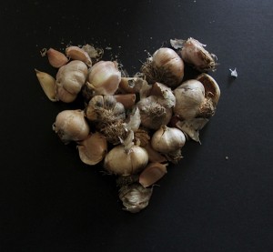 garlic heart by Sally Sharpe