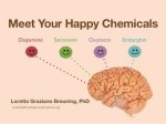 meet your happy chemicals